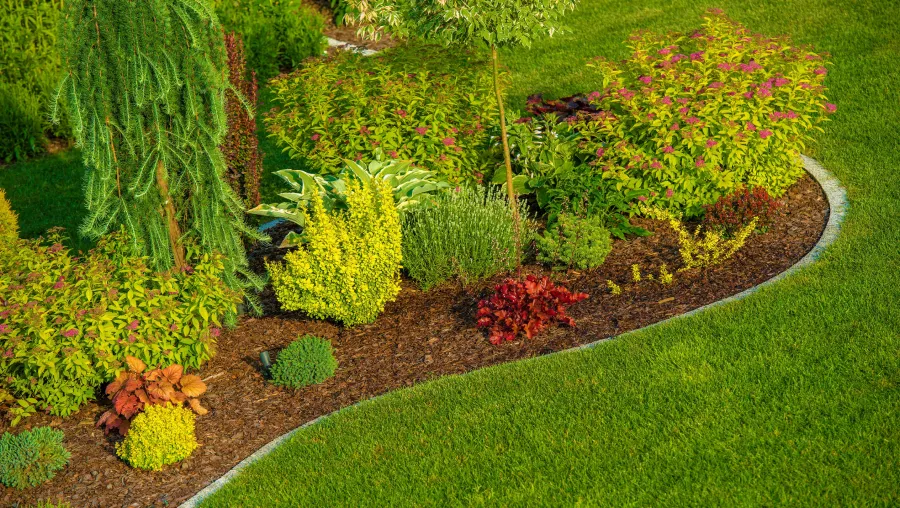 Commercial Landscaping