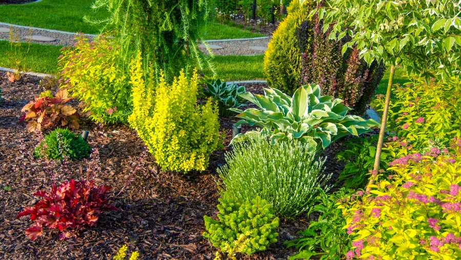 Residential Landscaping